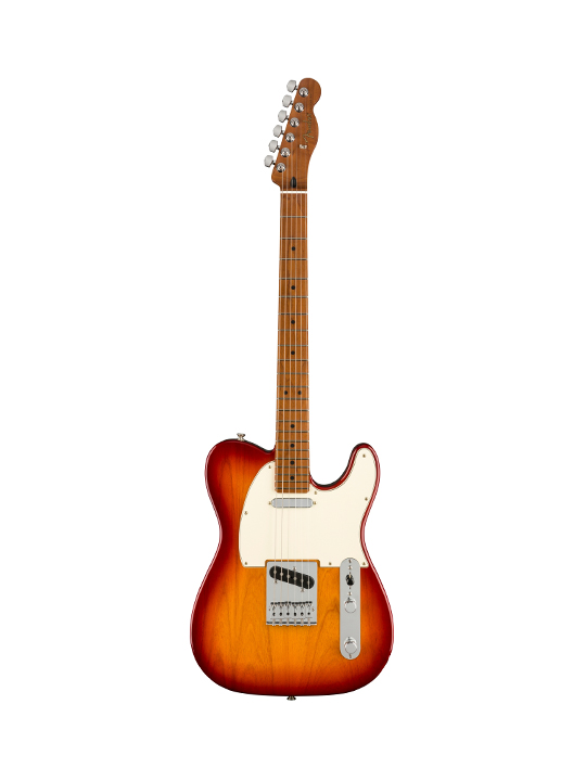 fender blackie price